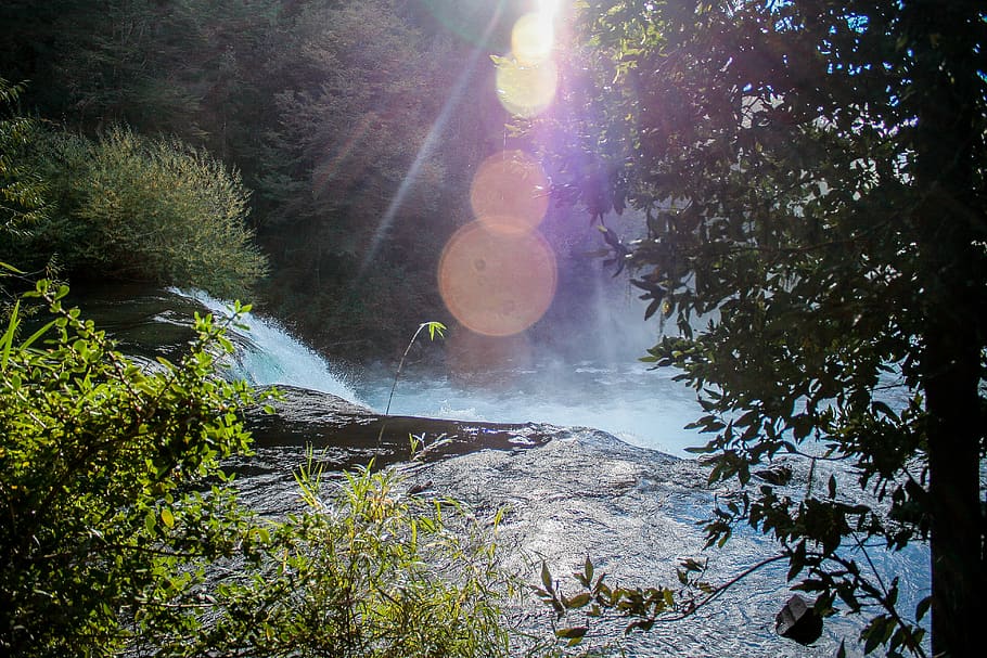 flare, light, nature, water, outdoors, plant, tree, river, fir HD wallpaper