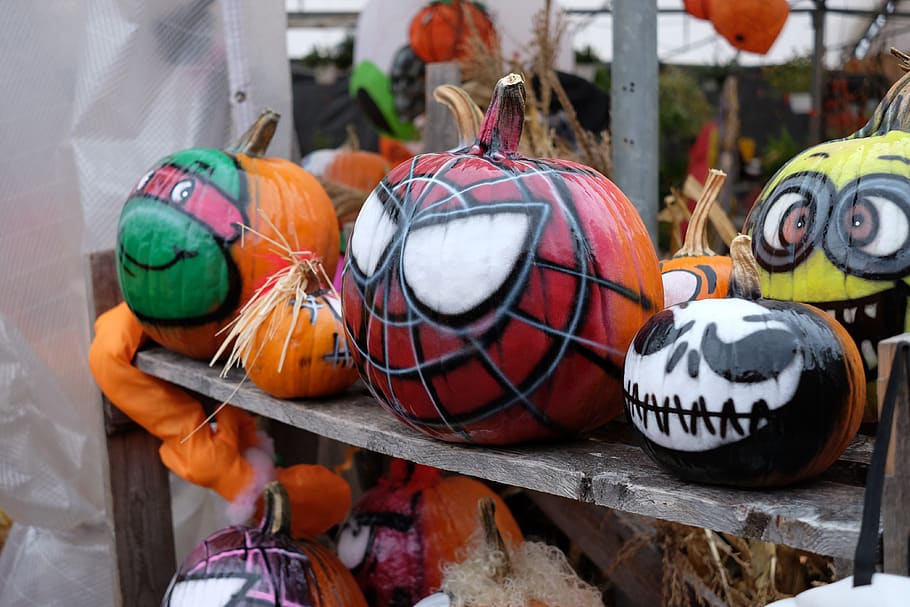 pumpkins halloween, day, incidental people, outdoors, multi colored HD wallpaper