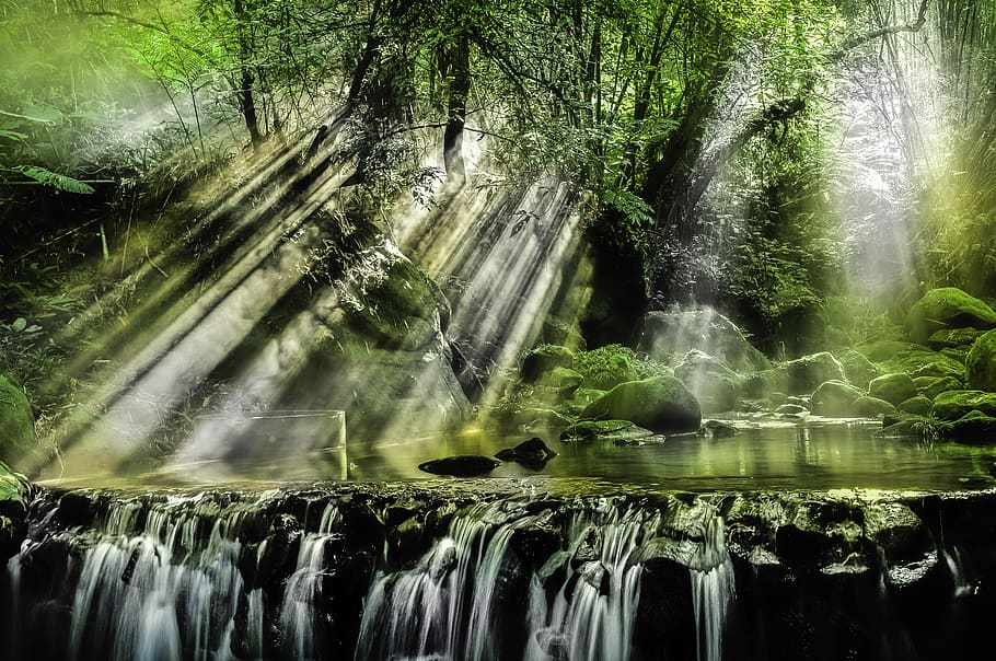 Waterfalls Surrounded by Trees, beautiful, environment, flow HD wallpaper