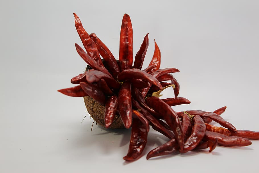 Red Chilis, dry, flora, spicy, studio shot, indoors, food and drink HD wallpaper