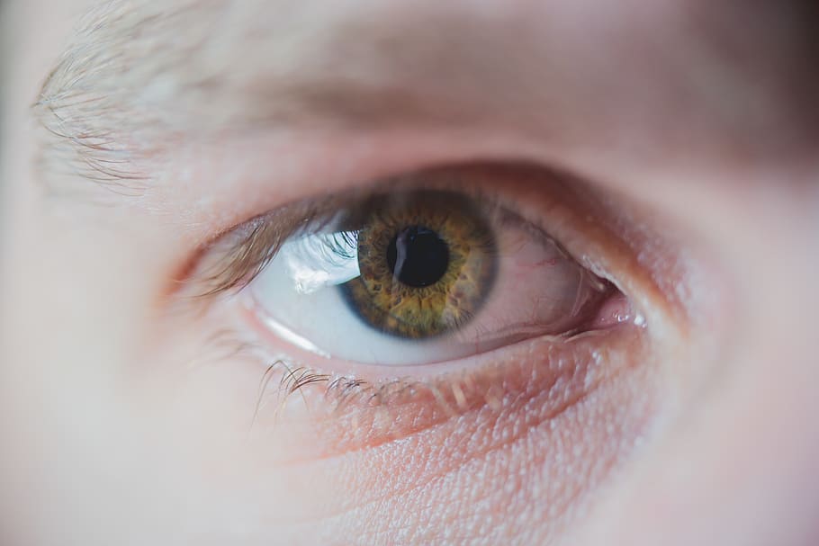 eye, sensory perception, human body part, human eye, eyesight HD wallpaper