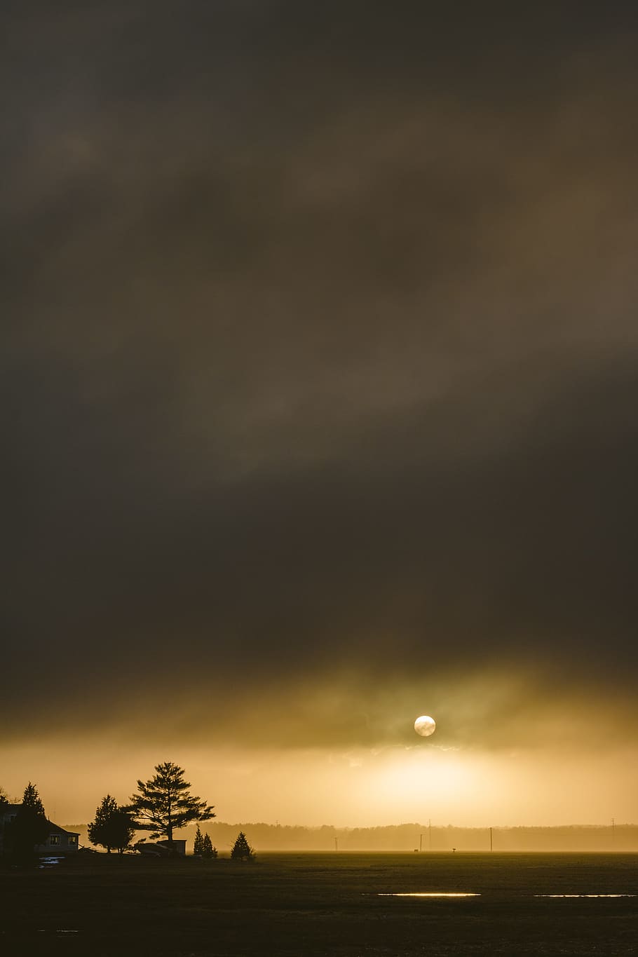 sky, clouds, moon, light, night, tree, plant, nature, outdoor HD wallpaper