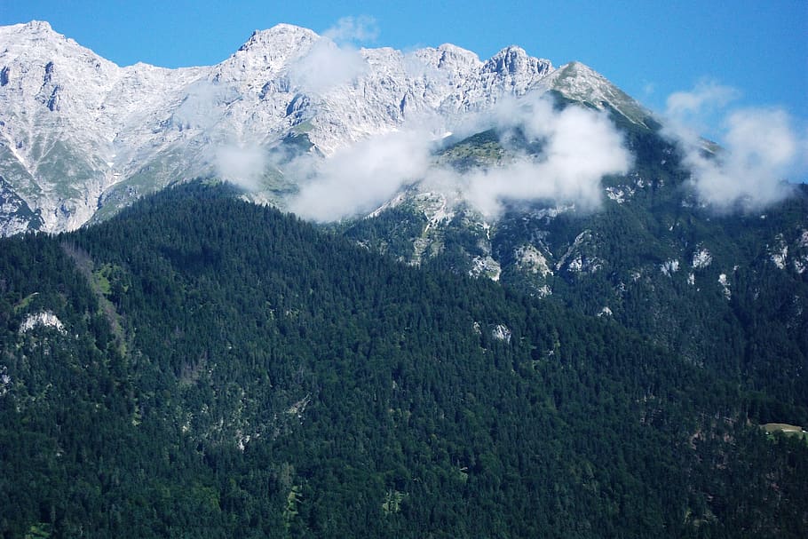 mountain, rock, ridge, hiking, forest, landscape, steep, view HD wallpaper
