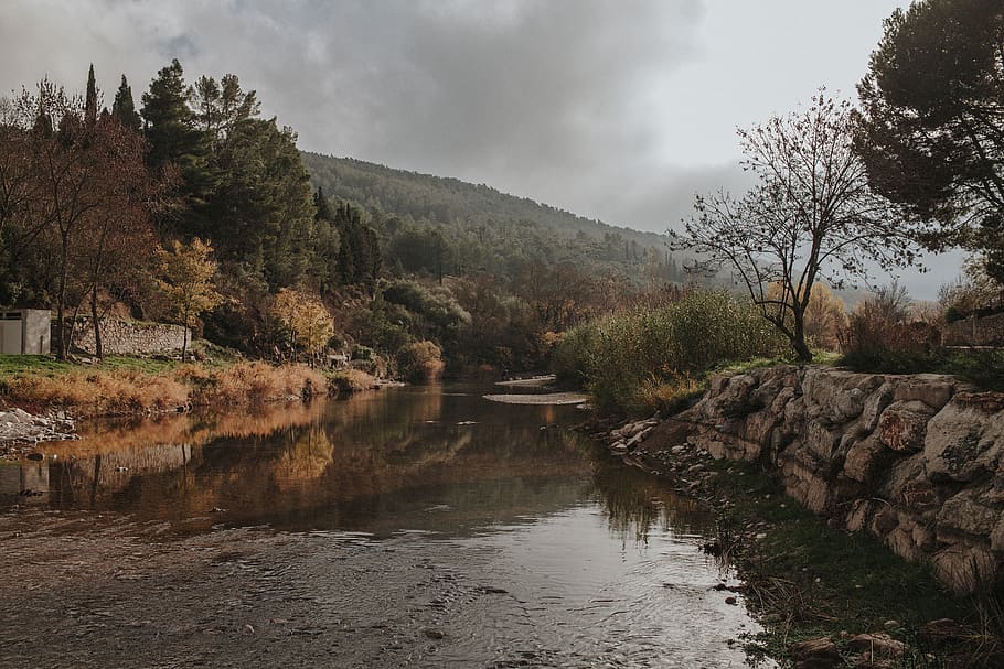 france, lagrasse, forest, river, mood, aude, tree, water, plant, HD wallpaper