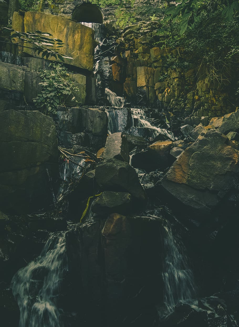 forest, water, waterfall, jungle, nature, rocks, trees, leaves HD wallpaper