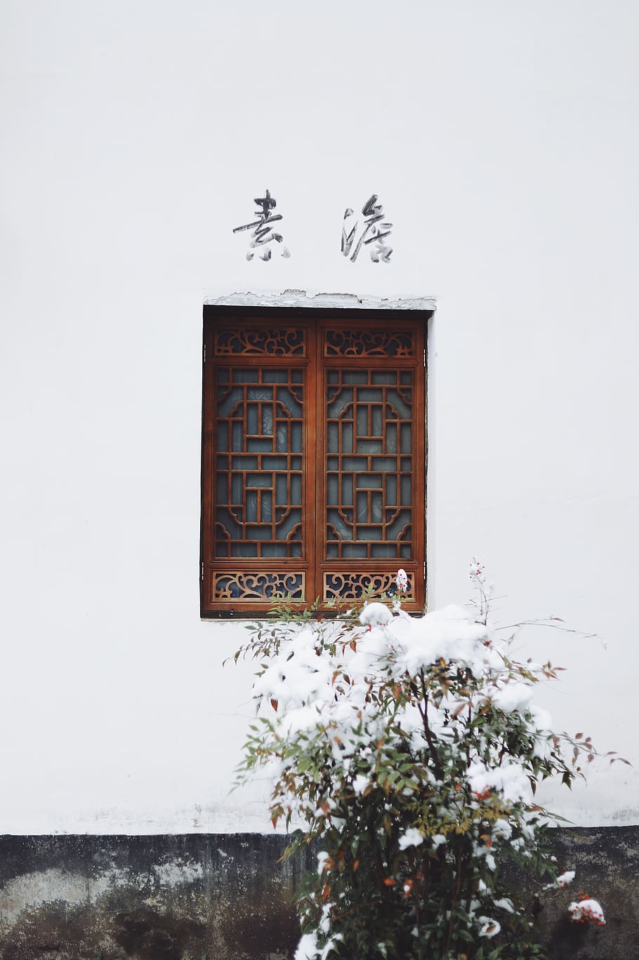brown wooden double-door window closed during daytime, plant, HD wallpaper
