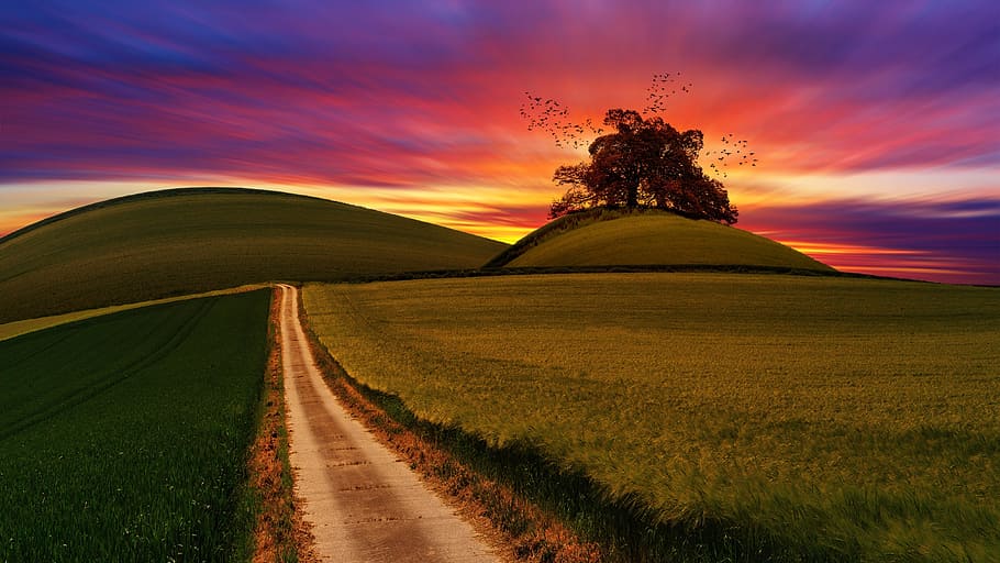 hills, farms, sunset, path, nature, track, colorful, purple HD wallpaper