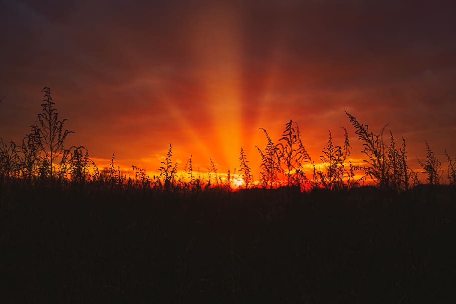 italy, ceggia, shadows, fire, sunset, grass, silhouette, sunbeams HD wallpaper