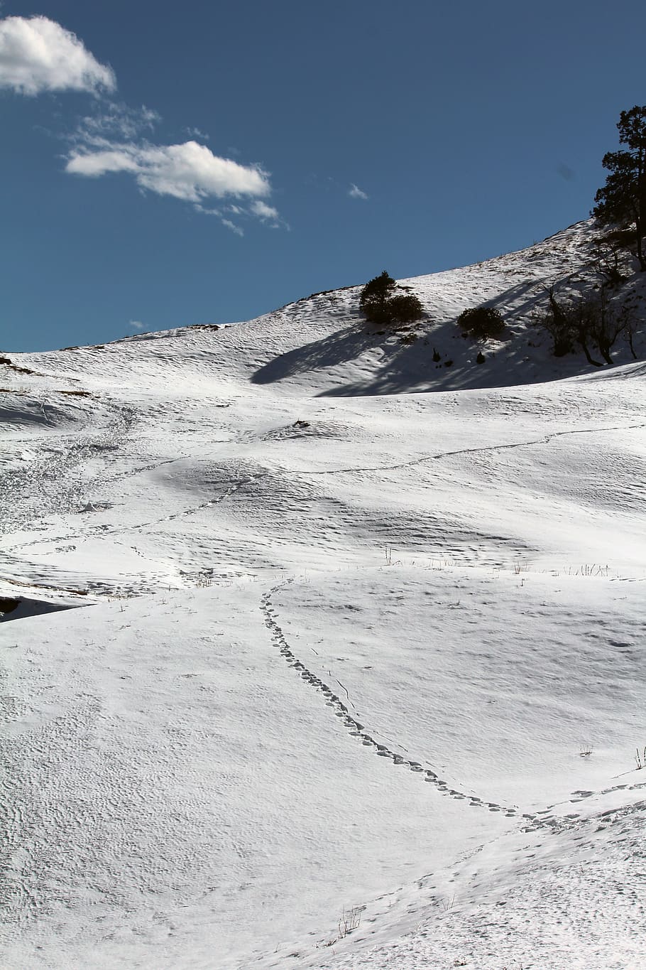 india, barsu, snow, meadows, himalayas, sky, beauty in nature HD wallpaper