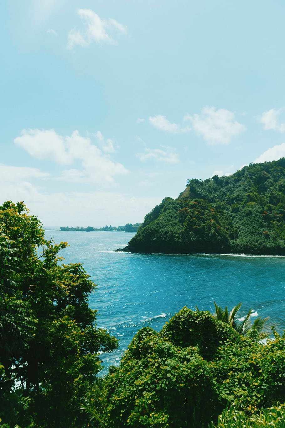 tropical, hawaii, ocean, sky, plant, cloud - sky, water, tranquility HD wallpaper