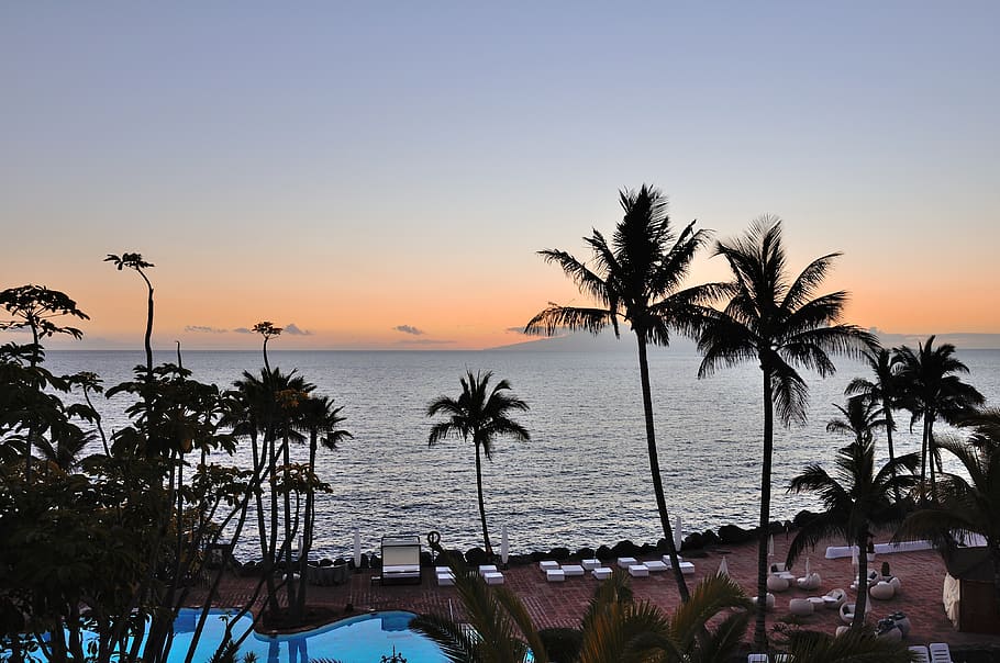 tenerife, sunset, night, sky, nature, water, sea, tropical climate HD wallpaper
