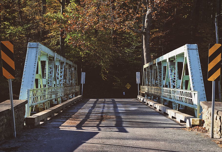 bridge, forest, old, fall, antique, wood, metal, steel, tree HD wallpaper