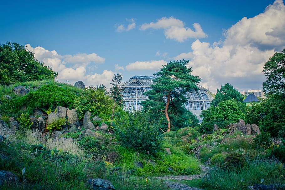 Green Trees Near Gray Building, beautiful, botanic garden, clouds HD wallpaper