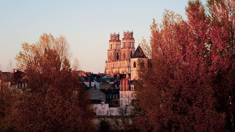 castle during daytime, tree, plant, building exterior, built structure HD wallpaper