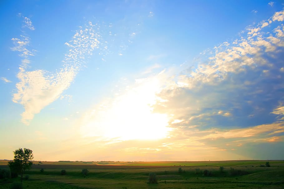 con2011, image, nature, photo, picture, plant, sky, cloud - sky HD wallpaper