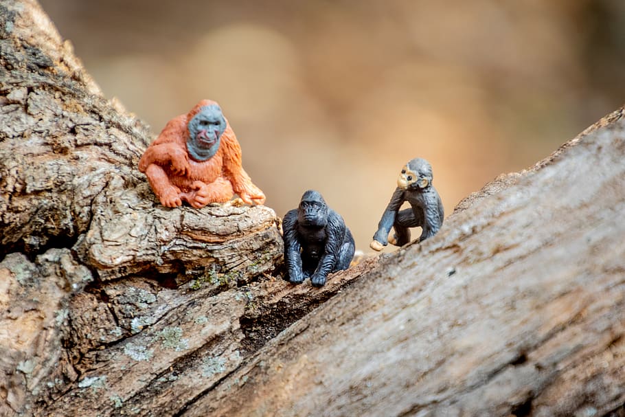 Miniature Monkey Toys, close-up, daylight, environment, fun, little HD wallpaper