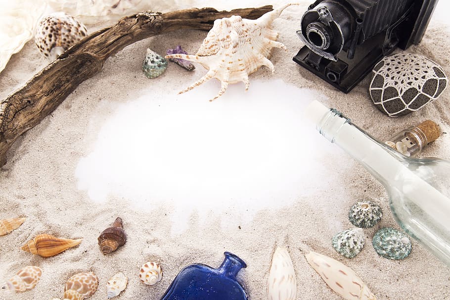 sea shells on white sand, low section, human leg, shoe, body part HD wallpaper