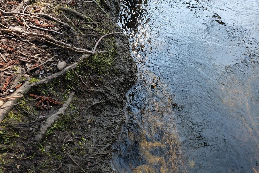 water, mirroring, nature, river, plant, no people, tranquility HD wallpaper