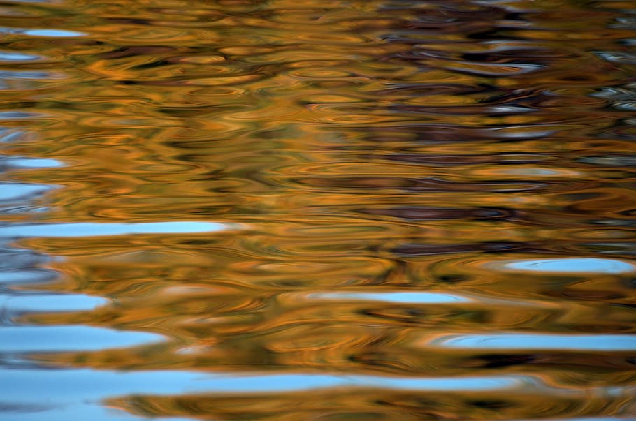 water surface, reflection, mirroring, nature, lake, waters HD wallpaper