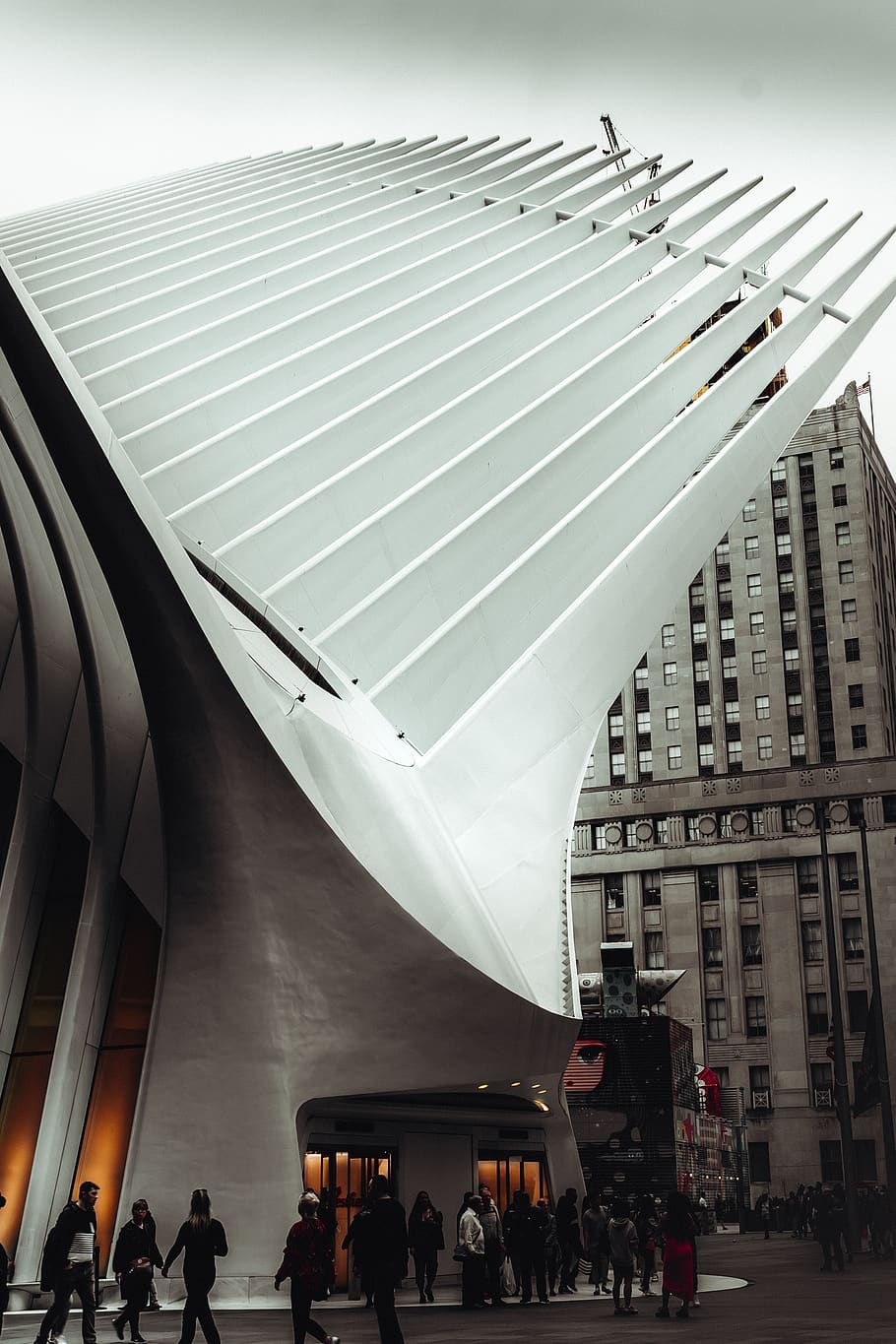 person, human, building, architecture, office building, planetarium HD wallpaper