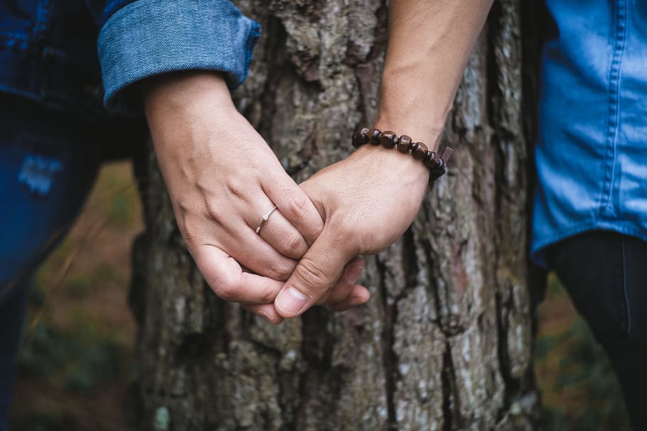 two person holding hands, couple, ring, tree, bokeh, blur, love HD wallpaper