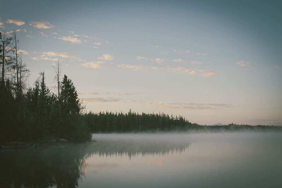 sky, clouds, trees, forest, woods, outdoors, lake, mist, fog HD wallpaper
