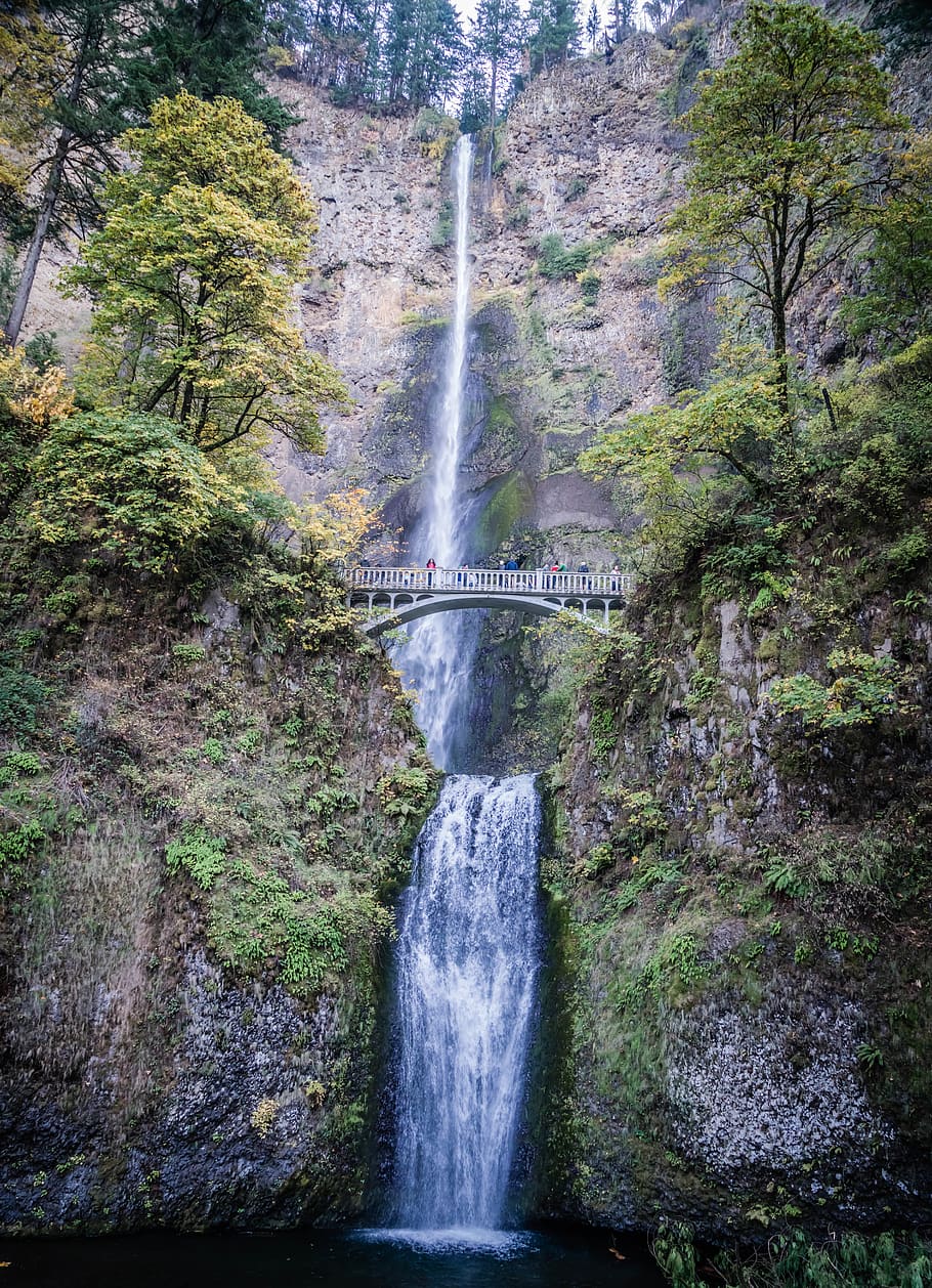 waterfalls with bridge, united states, multnomah falls, creek, HD wallpaper