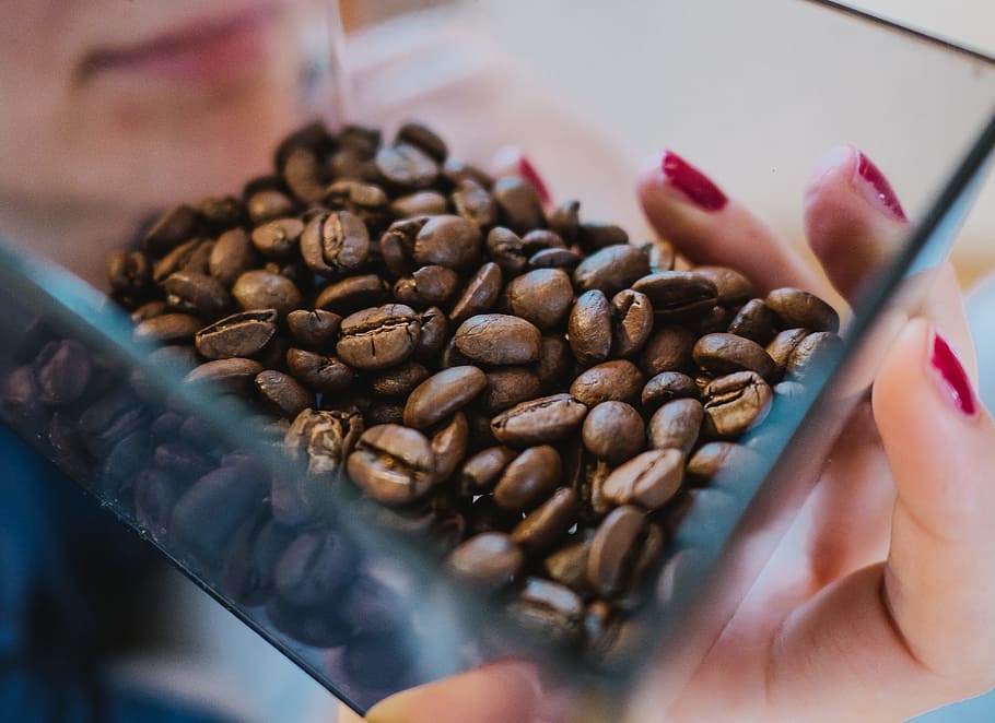 Person Holding Coffee Beans on Glass Bowl, close-up, dark, fingers HD wallpaper