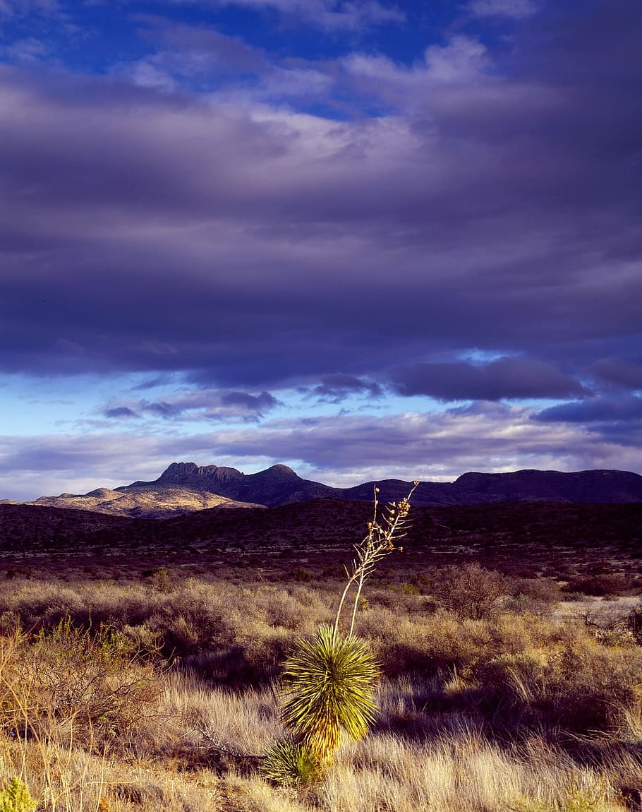 range, mountain, mountainous, nature, landscape, cloud - sky HD wallpaper