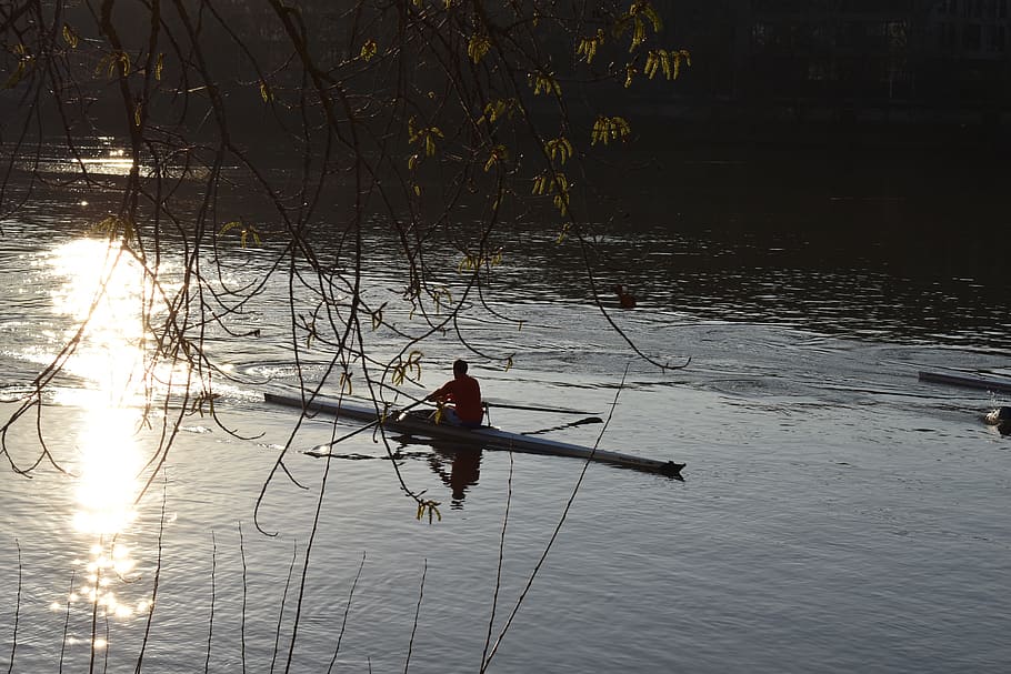 rowing, river, sun, water, reflection, real people, lake, nautical vessel HD wallpaper