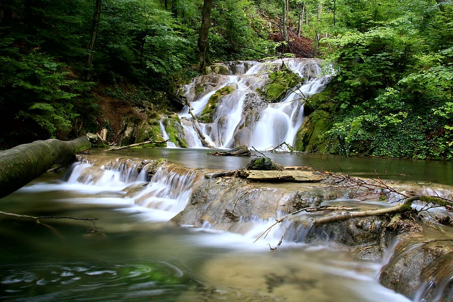 waterfalls nature scenery, flowing water, tree, long exposure HD wallpaper