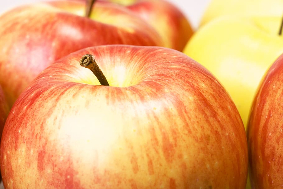 close-up, closeup, diet, dieting, eating, food, fresh, freshness HD wallpaper