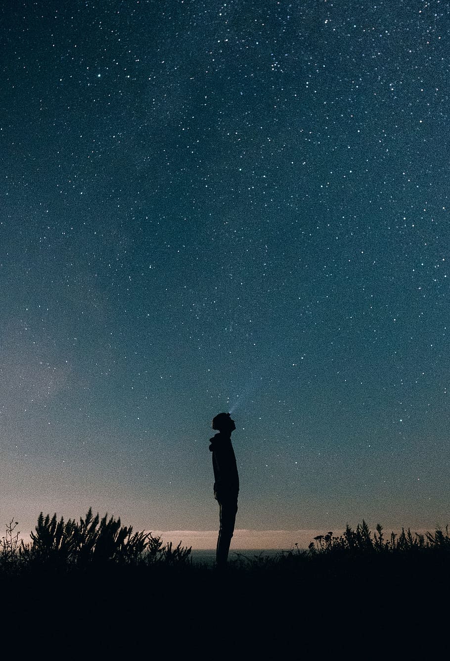 silhouette of person between grass under black sky, star, headlamp