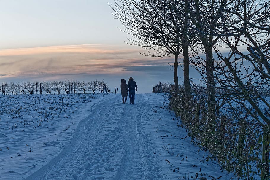 walk, winter, snow, sunset, cold, cold temperature, sky, scenics - nature HD wallpaper