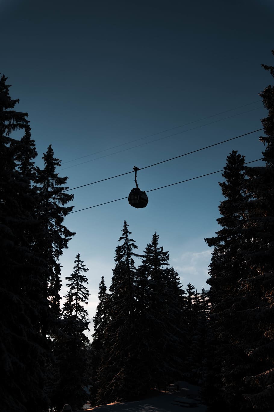 silhouette cable car and trees, plant, abies, fir, switzerland HD wallpaper