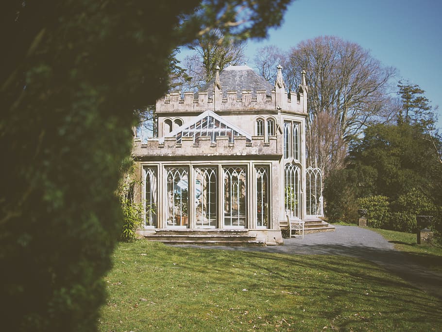 white concrete building structure, plant, grass, tree, culzean castle HD wallpaper