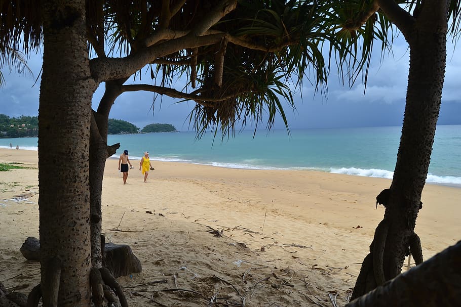 thailand, beach, landscape, tree, sea, water, plant, sand, sky HD wallpaper