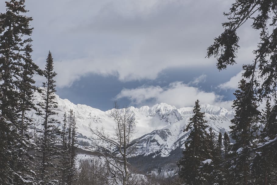 snow covered mountain under cloudy sky, tree, forest, woodland HD wallpaper