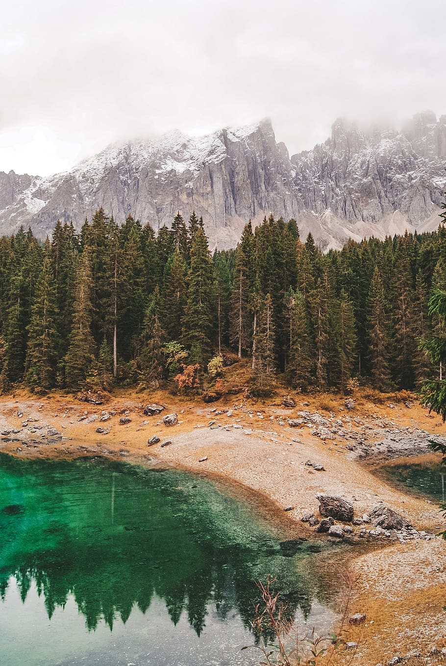 green pipe trees, water, mountain, beauty in nature, scenics - nature HD wallpaper