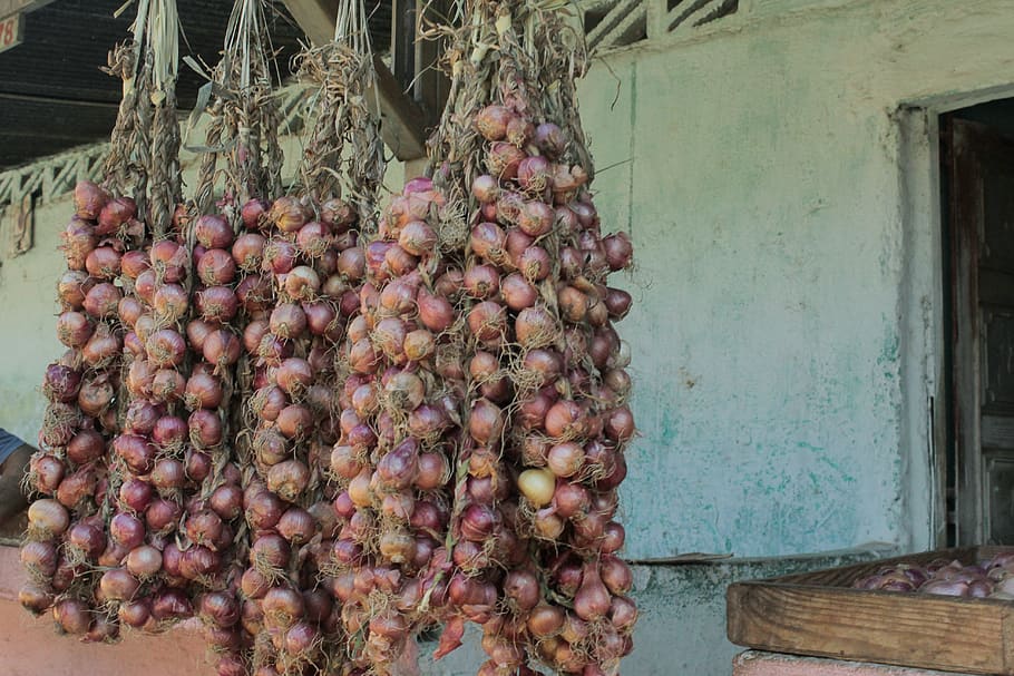 plant, onion, pineapple, food, fruit, cuba, vegetable, shallot, HD wallpaper