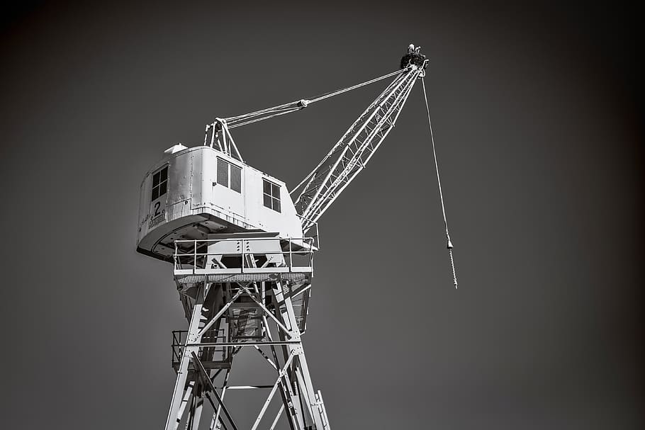 crane, tower, bird, industry, shipyard, technology, urban, cranes HD wallpaper