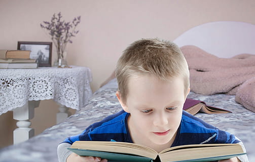 Boy reading a book in a bedroom., kids reading, child, student HD wallpaper