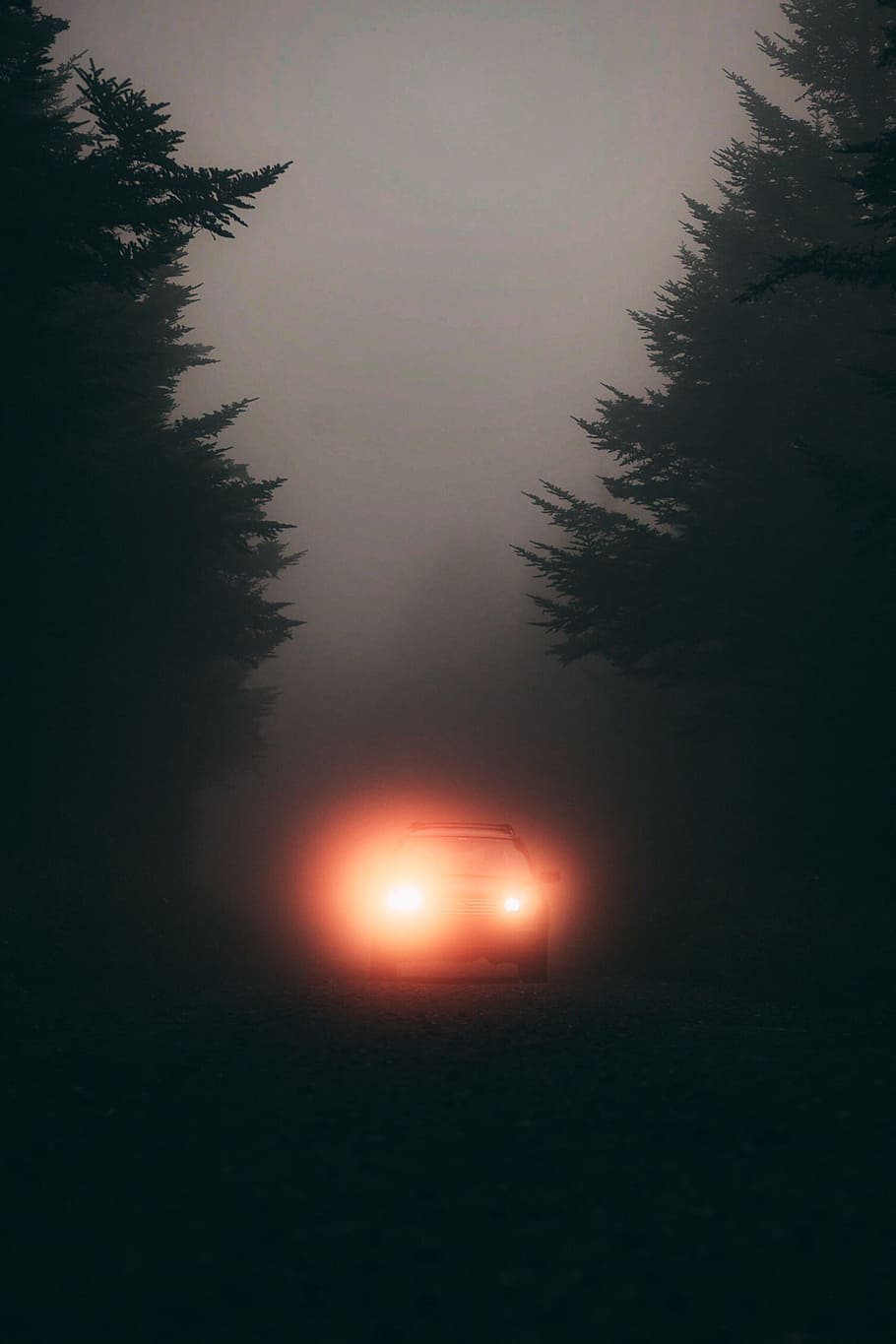 car on gray asphalt under cloudy sky, forest, light, glow, haze HD wallpaper