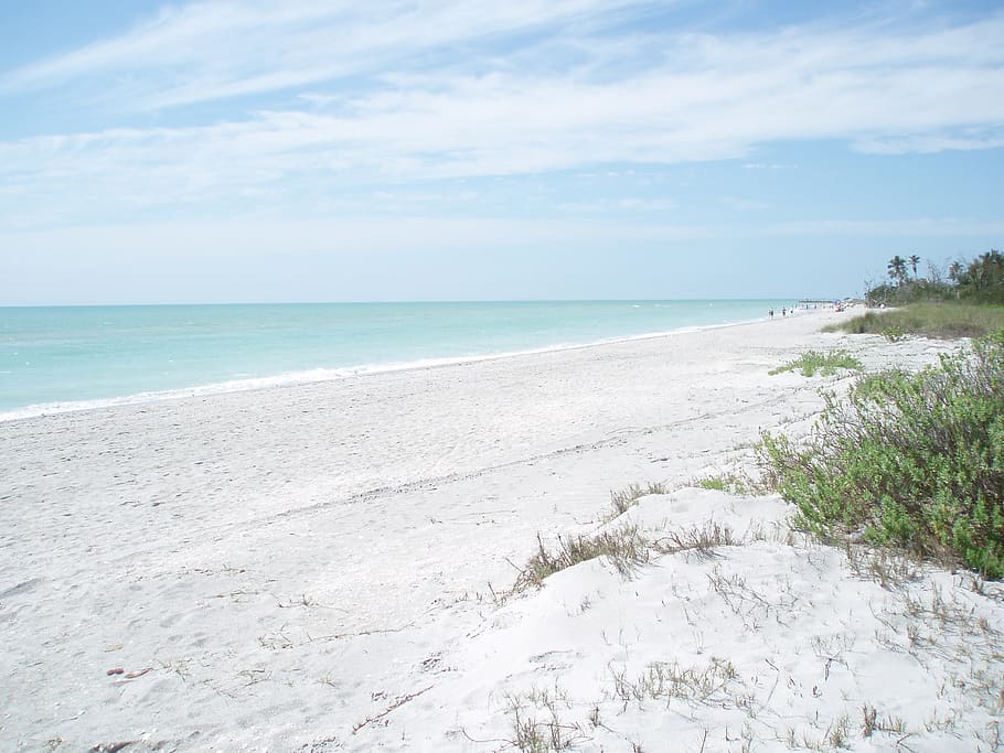 sand, white, beach, shore, seashore, ocean, blue, water, land HD wallpaper