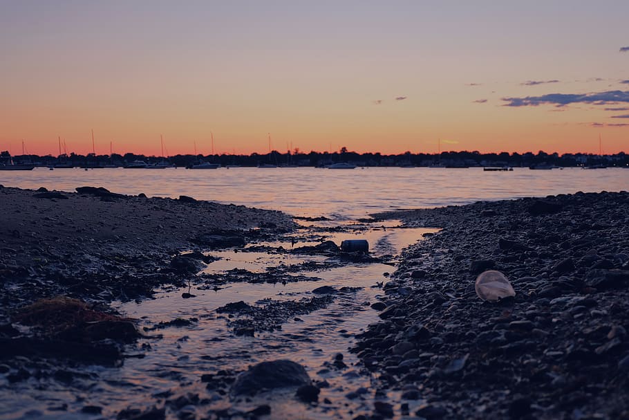 silhouette photography of shore during sunset, united states