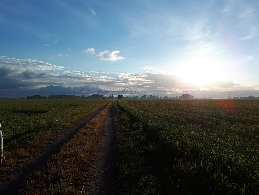 latvia, lielplatone, sky, field, landscape, environment, tranquility HD wallpaper