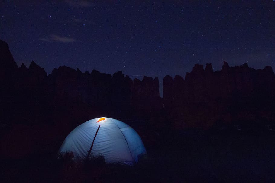 dark, night, trees, plant, forest, sky, stars, tent, lights HD wallpaper