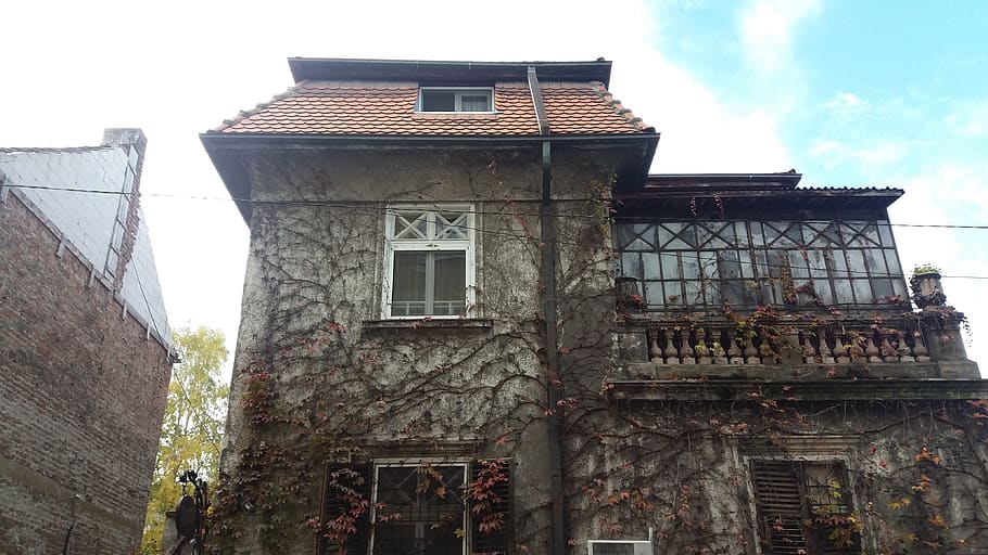 house, lianas, old, built structure, architecture, building exterior HD wallpaper