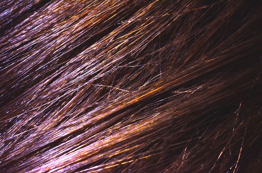 pattern, texture, ornament, lighting, fractal, hair, animal HD wallpaper