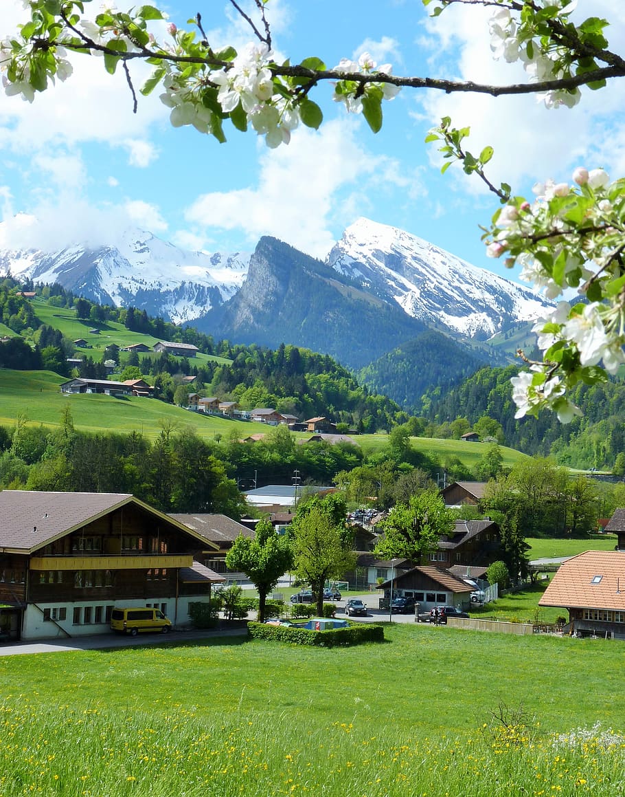 mountain, nature, seasons, landscape, spring, switzerland, bernese oberland, HD wallpaper